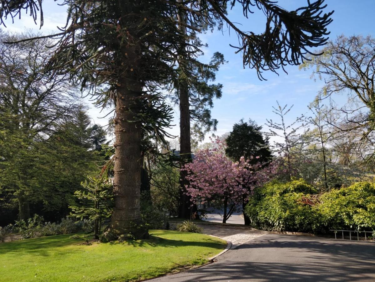 Banoge House Hotel Donaghcloney Exterior foto