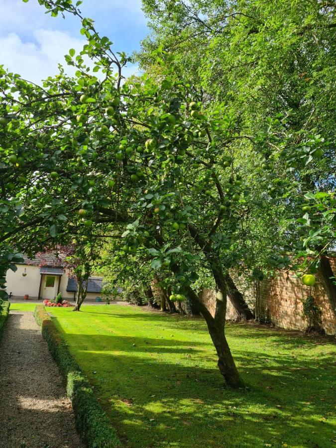 Banoge House Hotel Donaghcloney Exterior foto